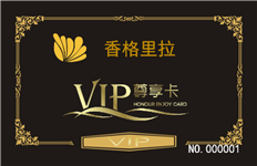 VIP黑色底会员卡-CY2109